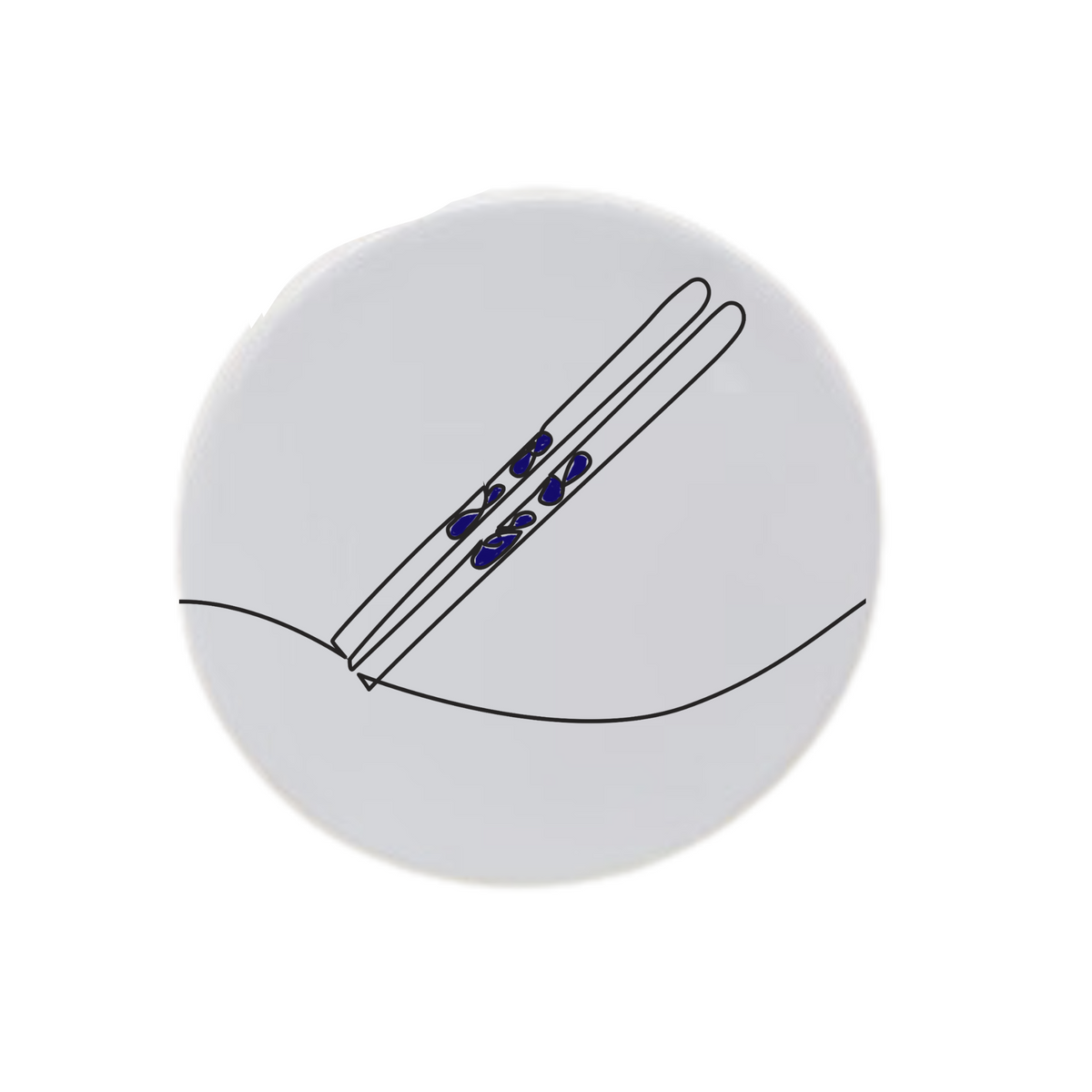 Snow Skis Disc